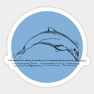 Cute Dolphin Sticker